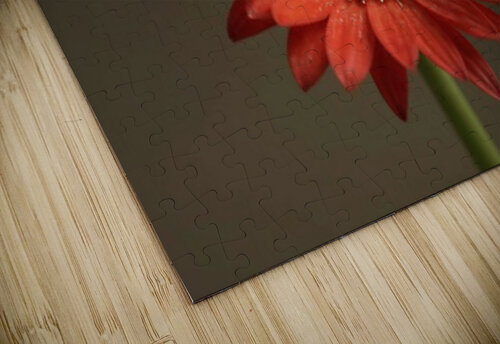 So Proud Arnie Goldstein puzzle