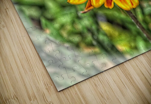 So Vibrant Arnie Goldstein puzzle