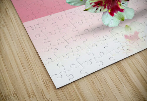 Very Pretty Arnie Goldstein puzzle