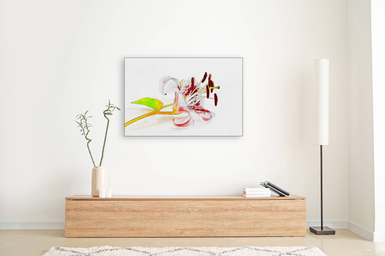 DELICATE Reproduction