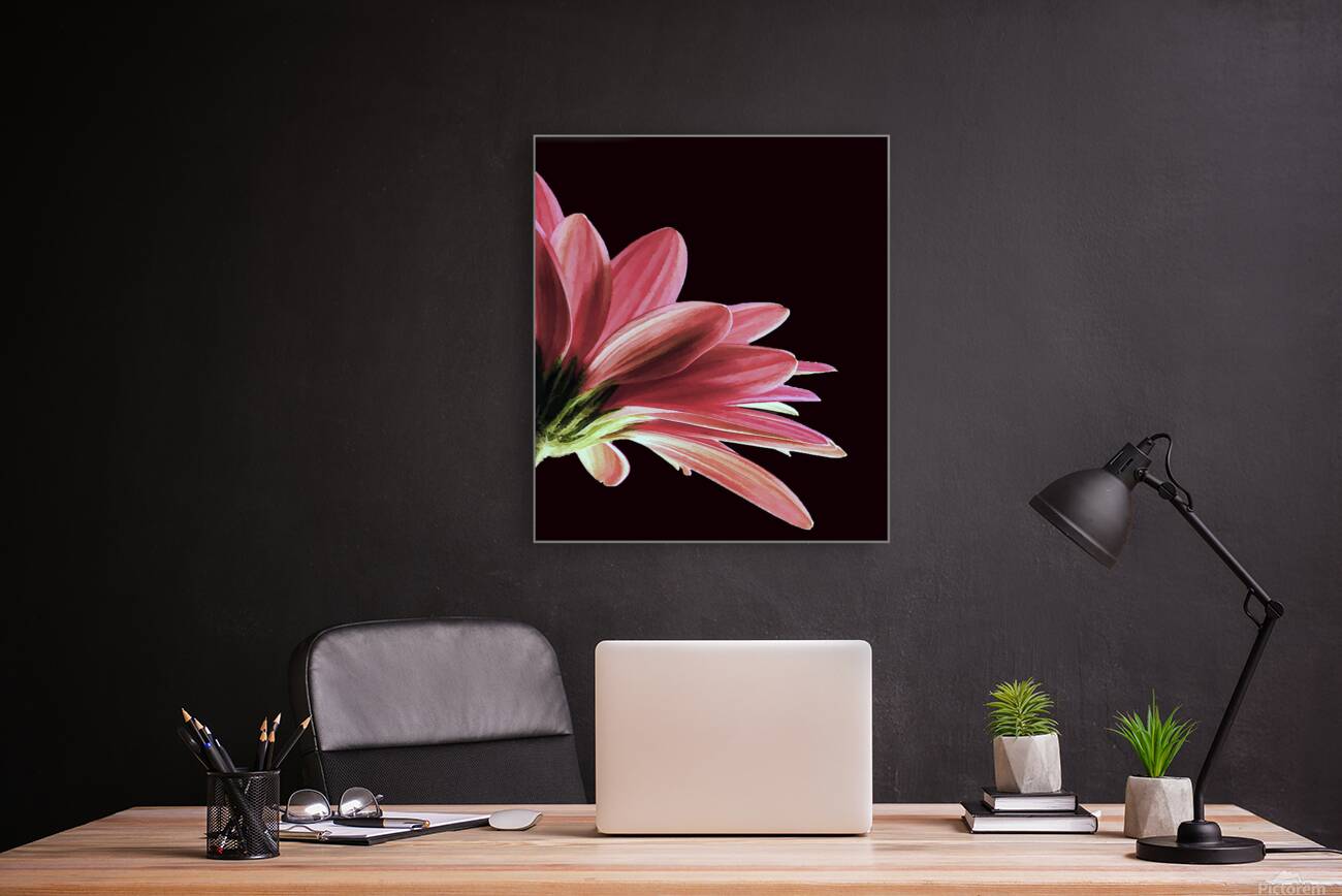 So Beautiful Reproduction