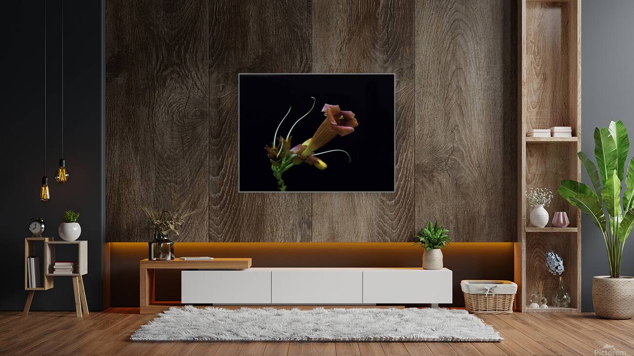 Pure Elegance Reproduction