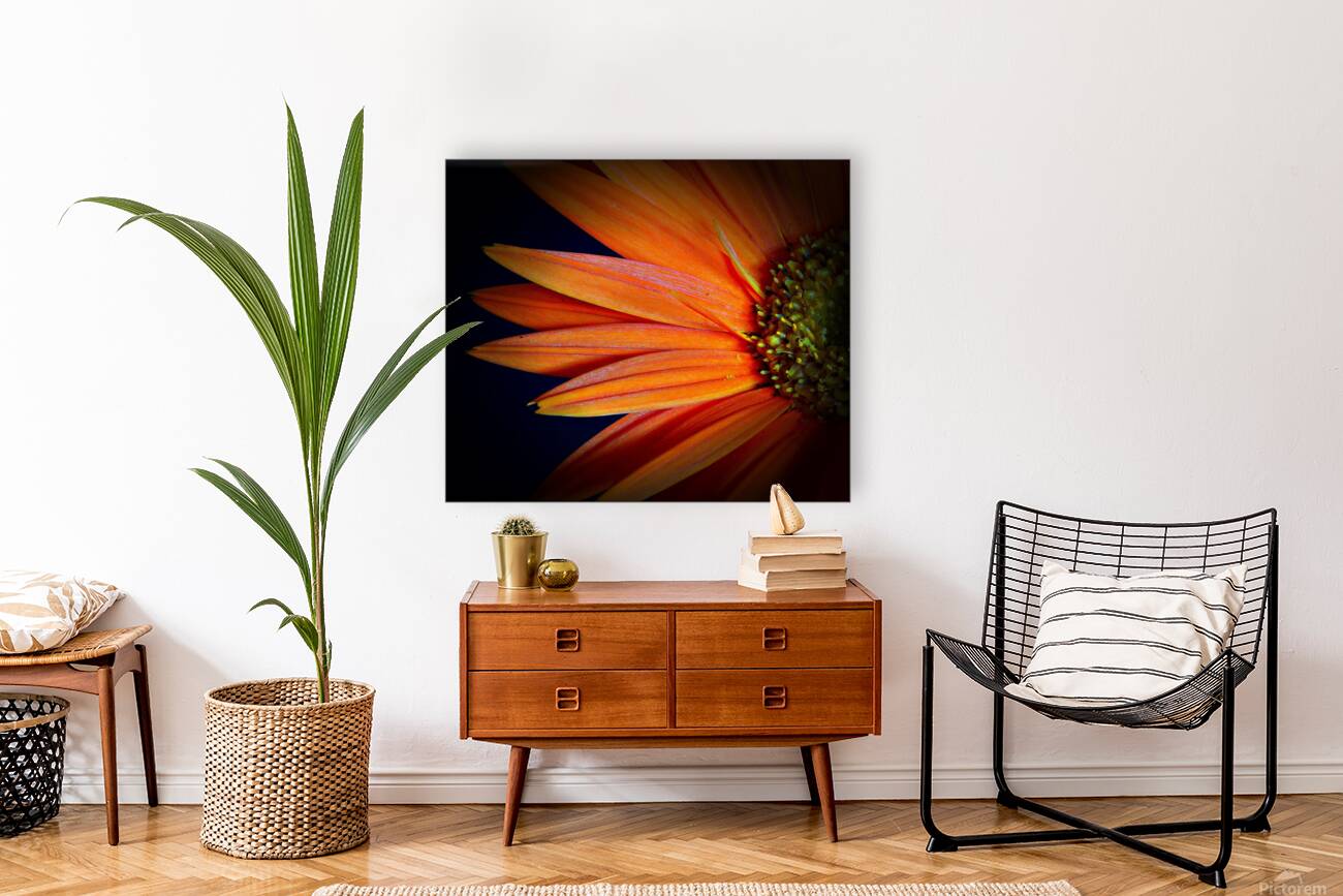 Orange Delight Reproduction