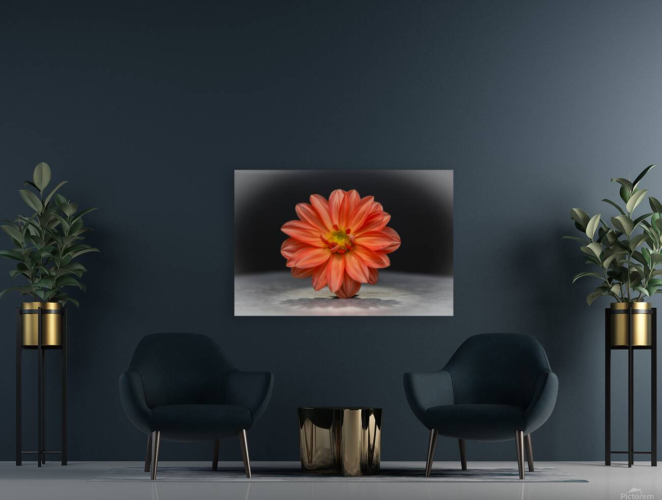 Bold Beautiful Reproduction