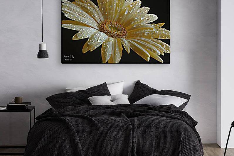 Morning Dew Reproduction