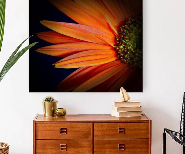 Orange Delight Reproduction