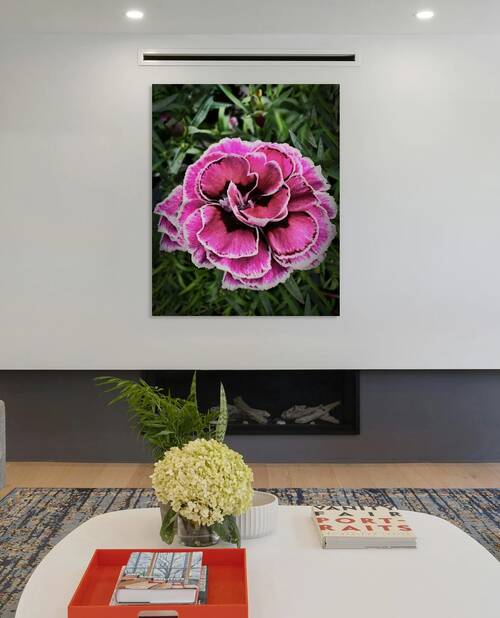Pretty Pink Reproduction