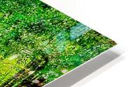 Beautiful HD Metal print