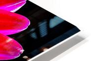 So Vibrant HD Metal print