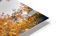 Crossing Over To Fall HD Metal print