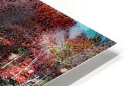 What A View HD Metal print