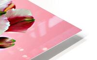 Very Pretty HD Metal print