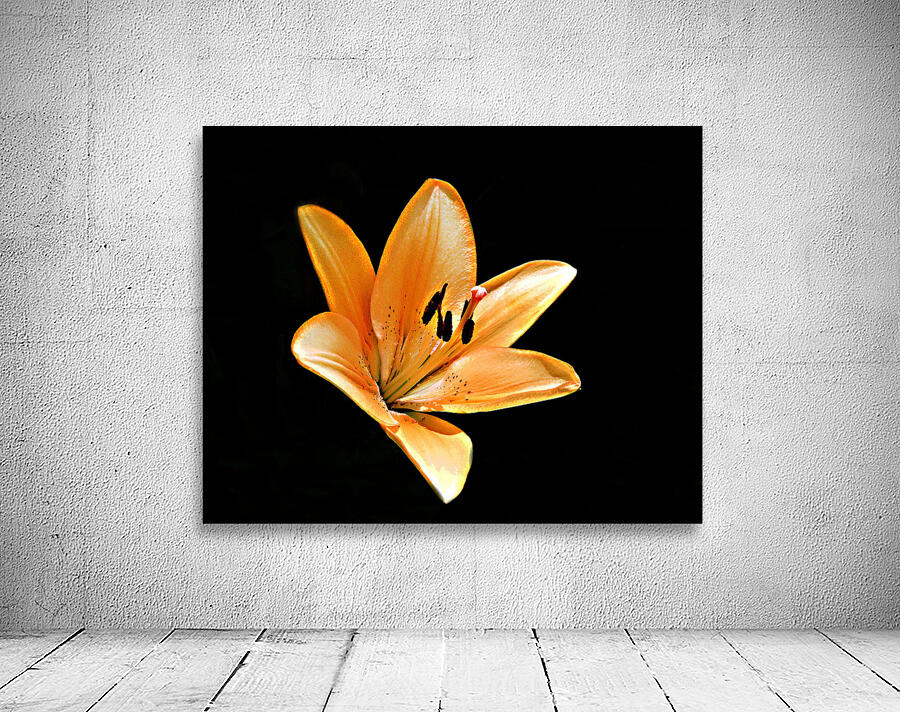 A Beauty Wall Preview