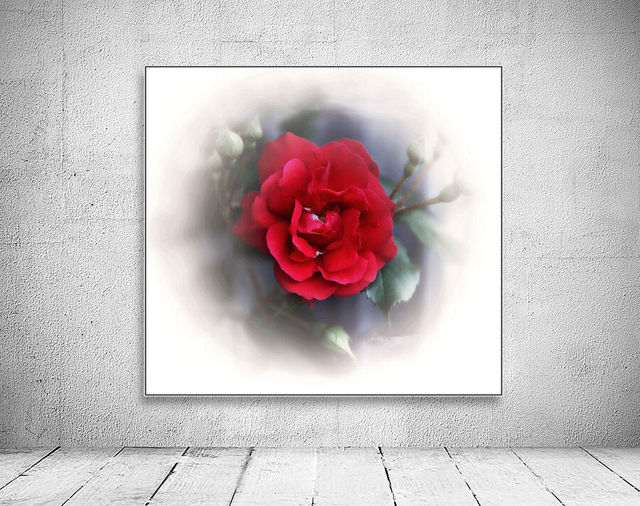 So Beautiful Wall Preview