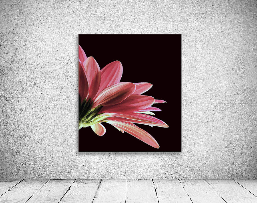 So Beautiful Wall Preview