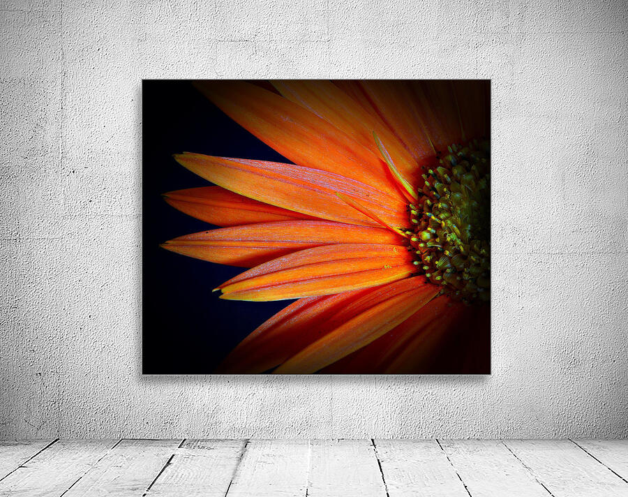 Orange Delight Wall Preview