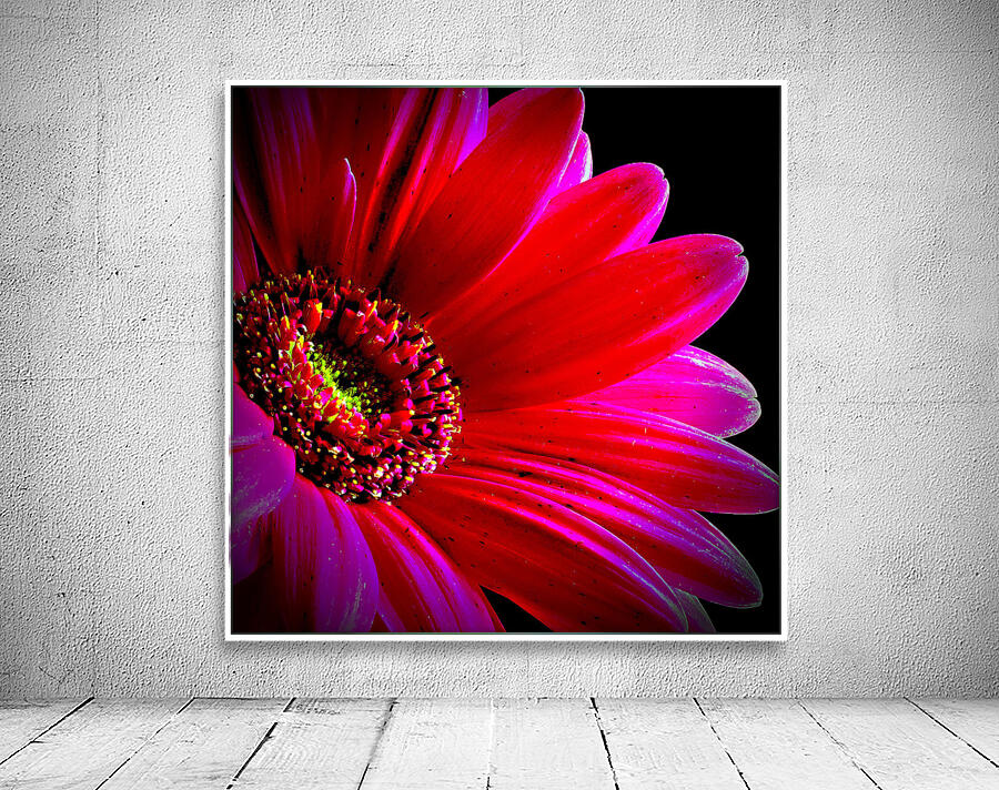 So Vibrant Wall Preview