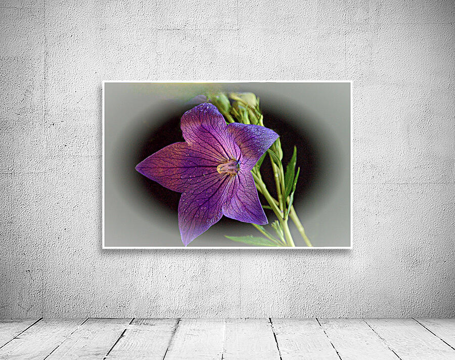 Purple Rain Wall Preview