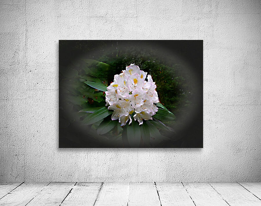 Bold  Beautiful Wall Preview