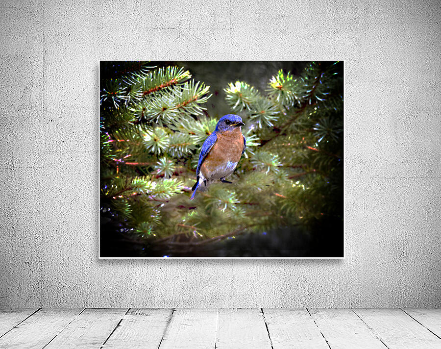 Looking At You Wall Preview