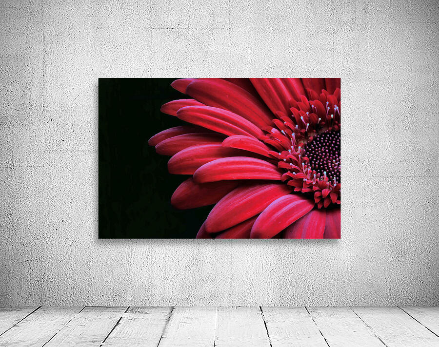 So Pretty Wall Preview