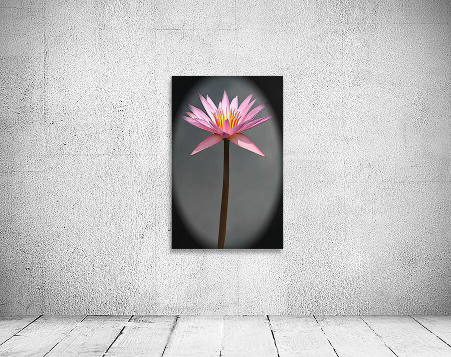 Delicate Wall Preview