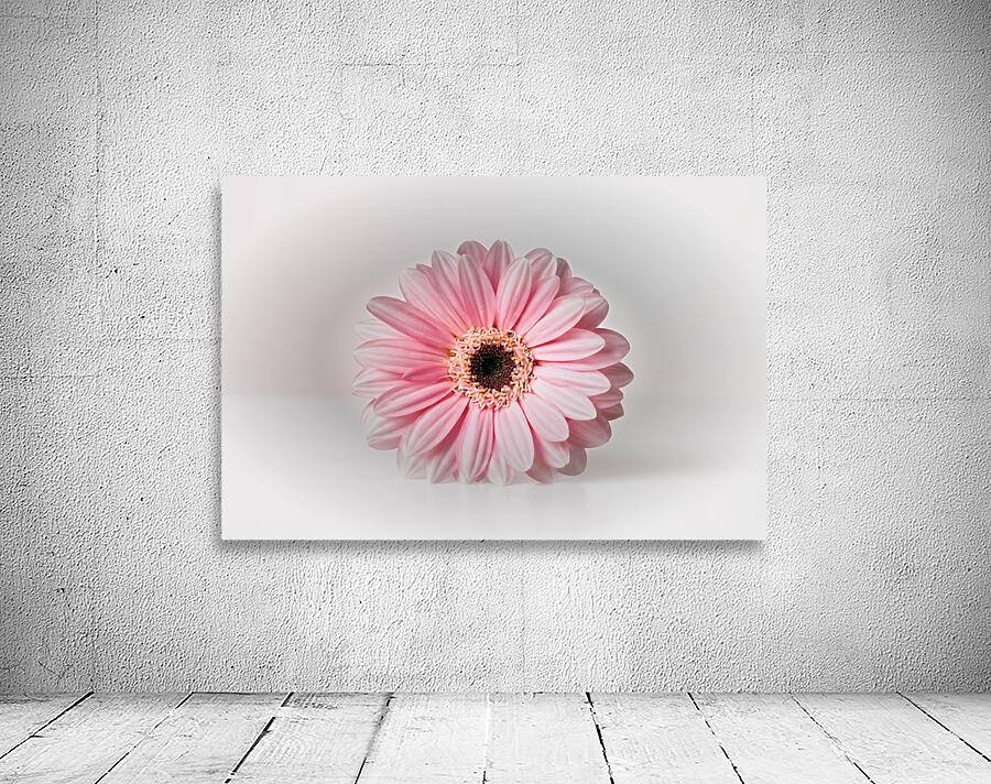 So Delicate Wall Preview
