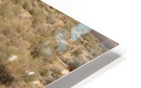 Desert Vegetation  HD Metal print