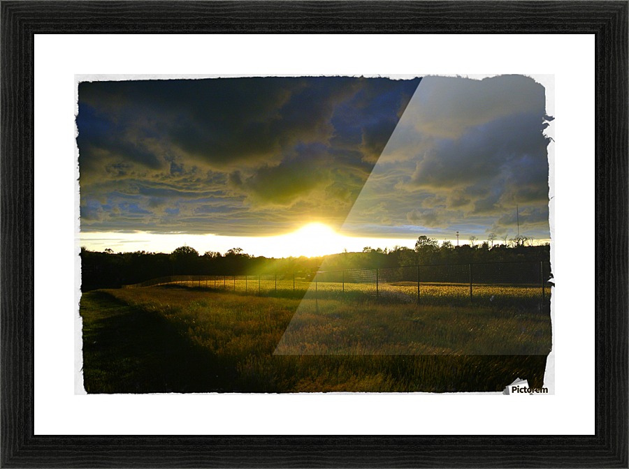 Calm Grace Picture Frame print