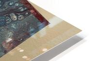 IMG 1006 HD Metal print