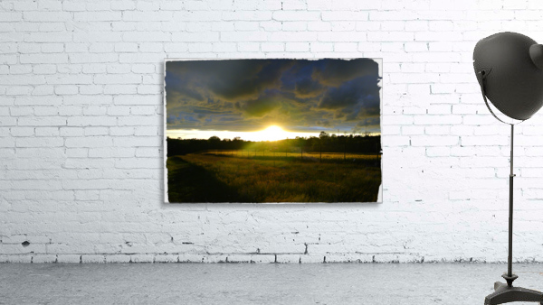 Calm Grace Wall Preview