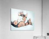wood logs  Acrylic Print