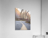Piste cyclable  Acrylic Print
