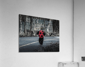 Ladybug Acrylic Print