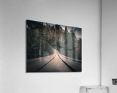 Passerelle camera en bas Acrylic Print