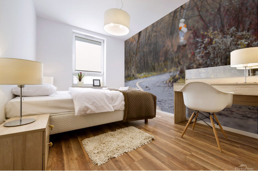 Piste cyclable  Mural print