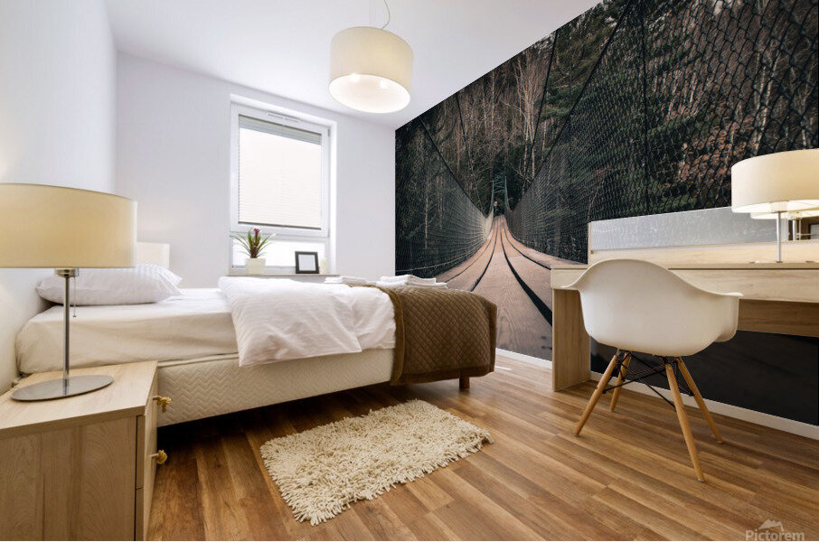 Passerelle camera en bas Mural print