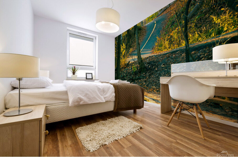 Piste cyclable parc Mural print