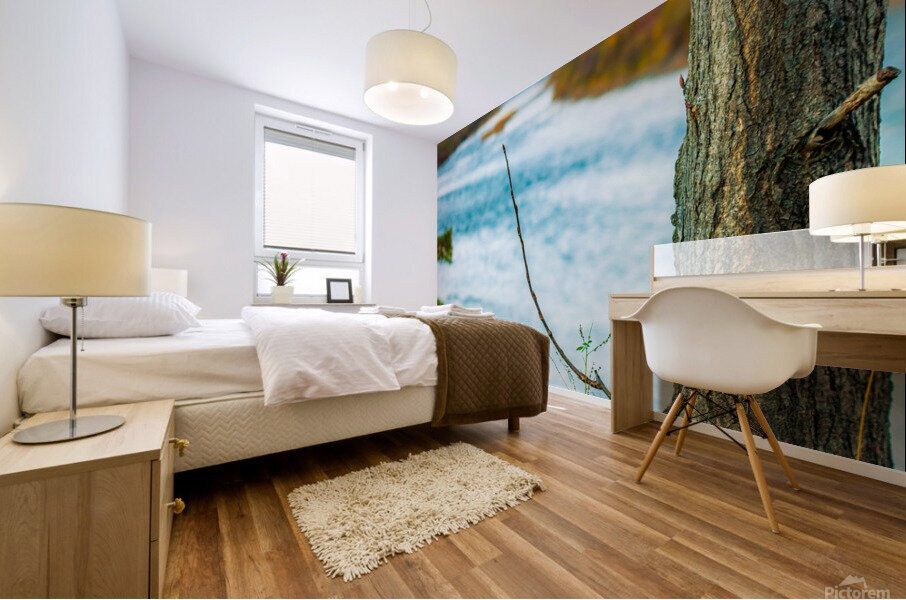 River view Mural print