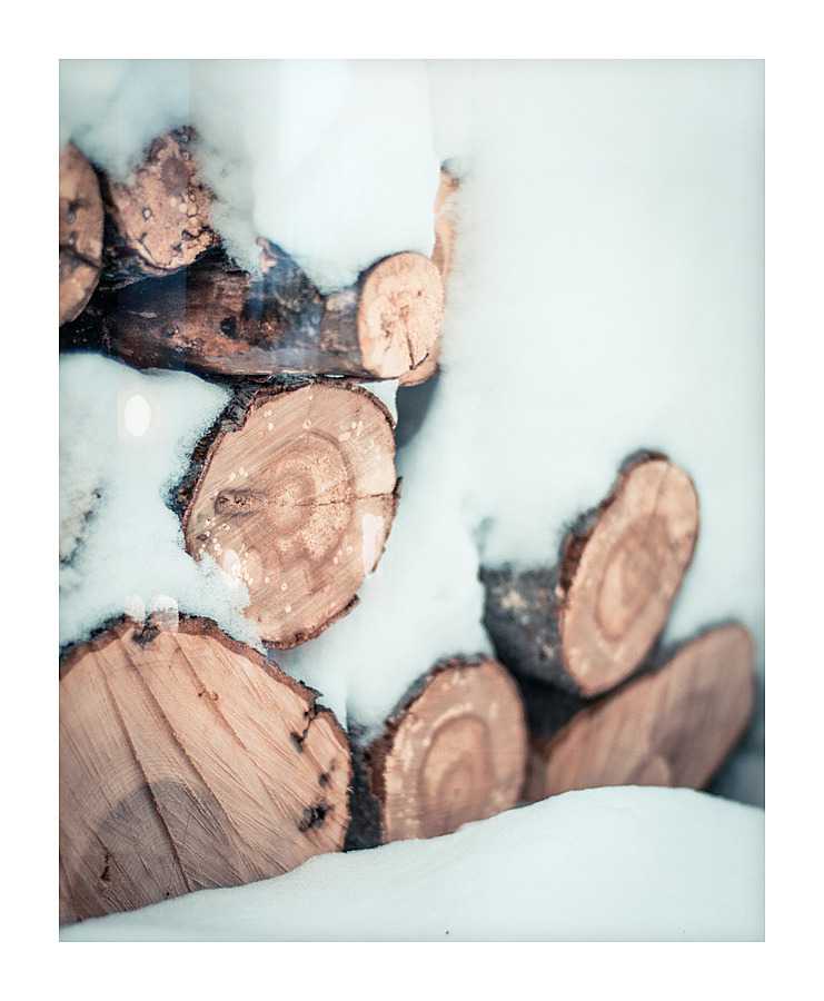 wood logs  Picture Frame print