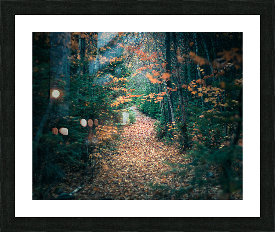 Rock lake path Picture Frame print