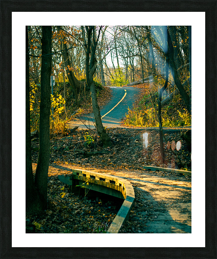 Piste cyclable parc Picture Frame print