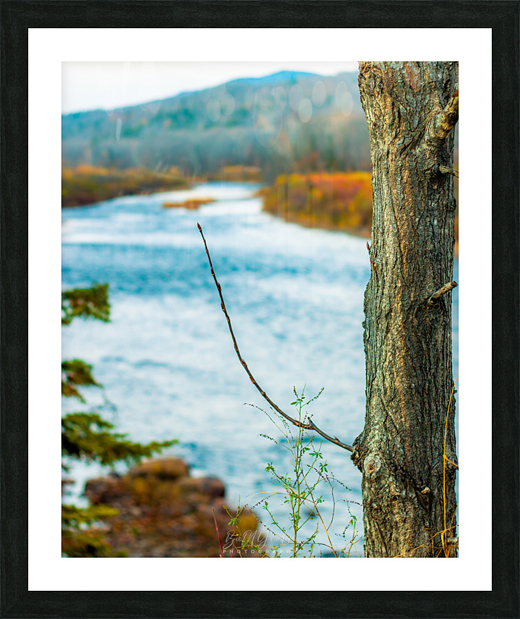 River view Picture Frame print