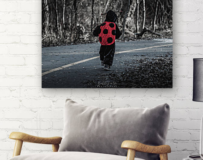 Ladybug by Boomyourlife