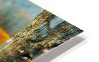 Walking towards the unknown HD Metal print
