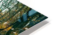 Piste cyclable parc HD Metal print