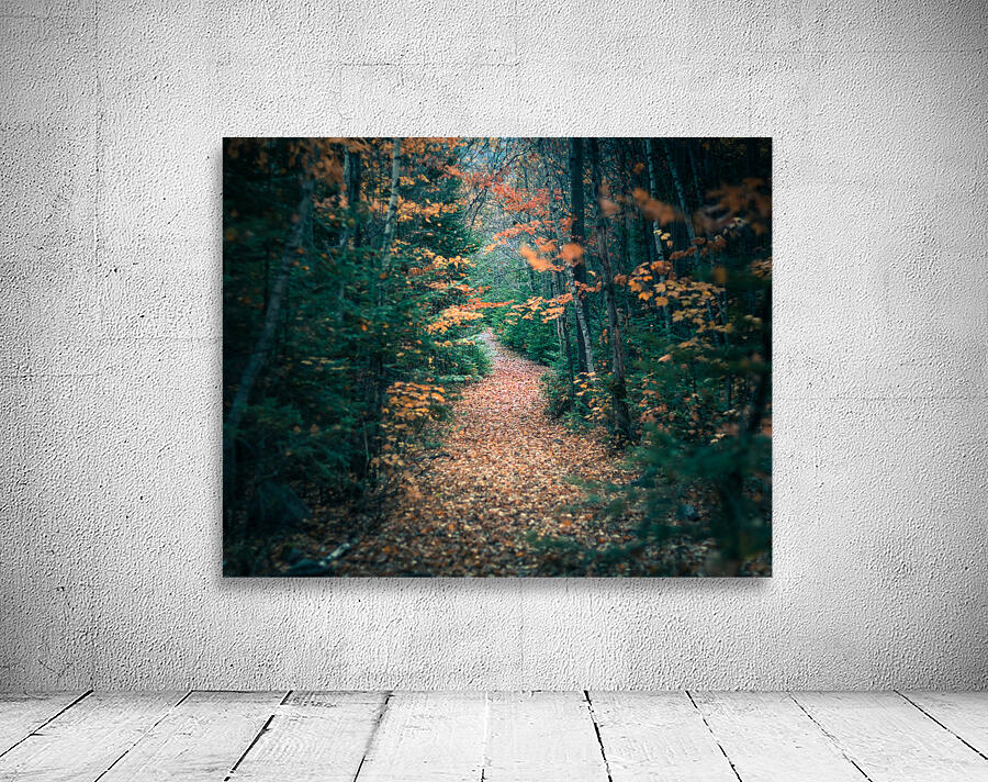 Rock lake path Wall Preview