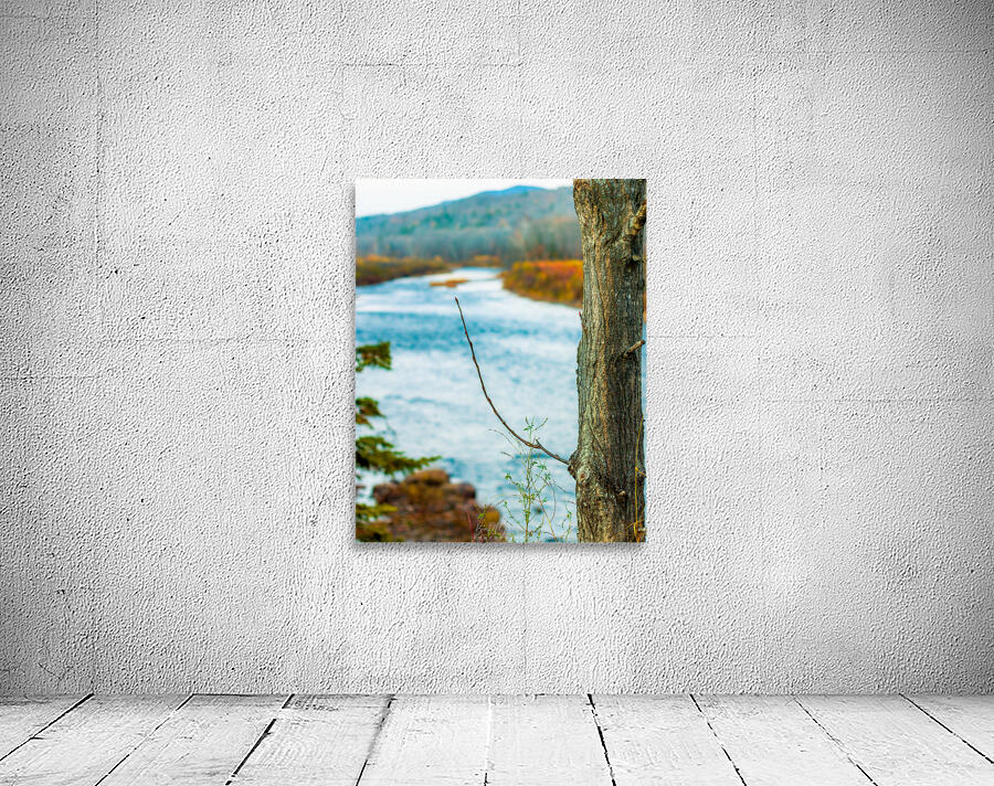 Back to home Wall Preview