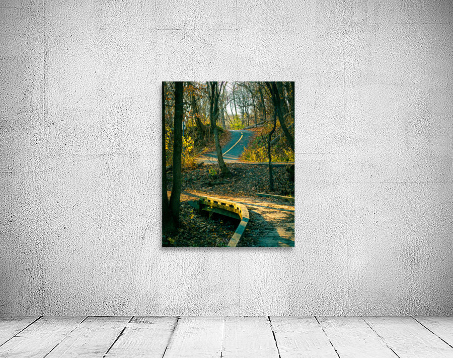 Piste cyclable parc Wall Preview