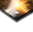 Golden Hour Over a Peaceful Forest amazing serene landscape Acrylic print